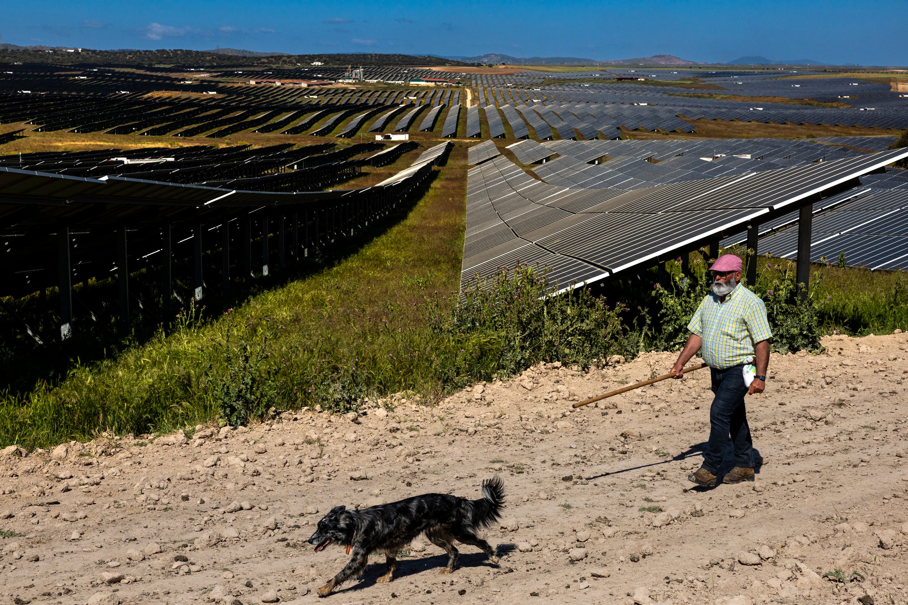 La 'Barra Libre' Fotovoltaica Desafía la Estabilidad Eléctrica Española