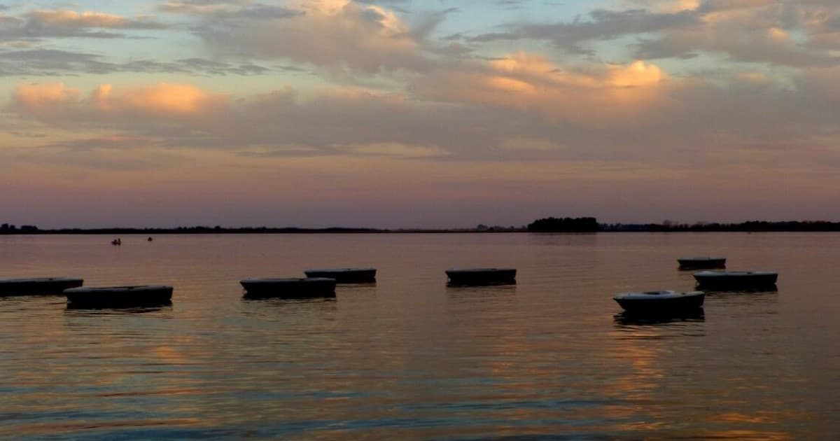 El Santuario Invernal de Buenos Aires: Una Laguna con Muelles Iluminados y Experiencias Multifacéticas Más Allá de la Pesca